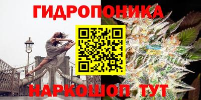 СК Комсомольск-на-Амуре