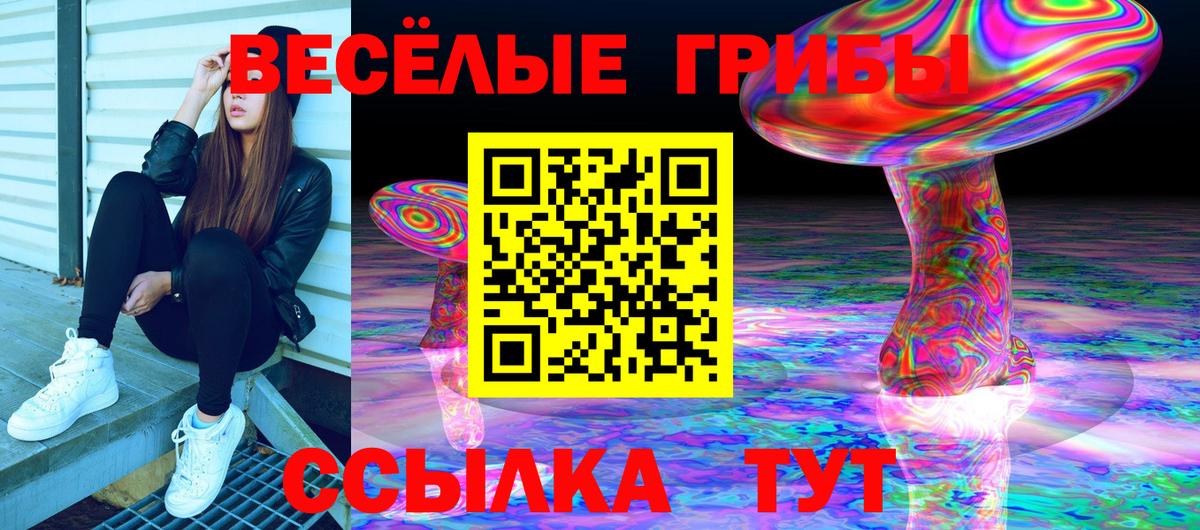 Галлюциногенные грибы MAGIC MUSHROOMS Армавир