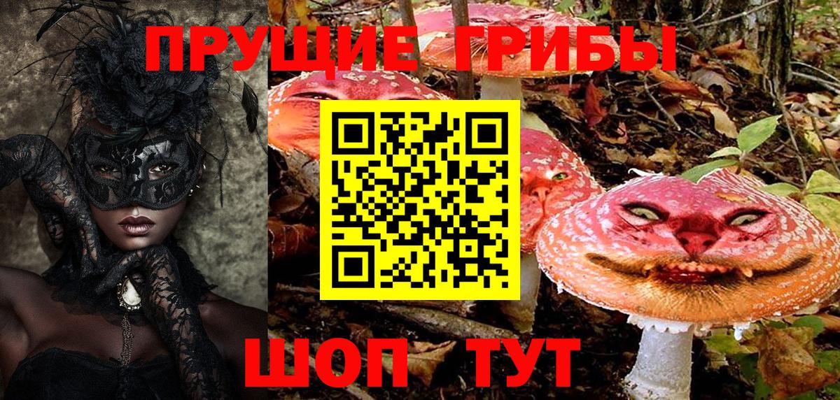 Армавир  Галлюциногенные грибы Psilocybe  Вход с VPN  Псилоцибиновые грибы прущие грибы 